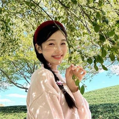暴力特区